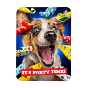Ímã Assopradores de Festa de Cachorro Feliz