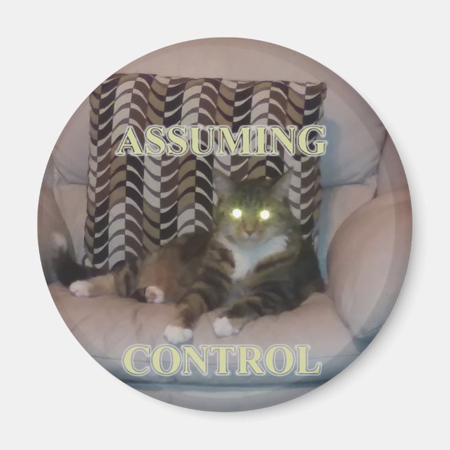 Imã Assuming Control cat magnet (Frente)