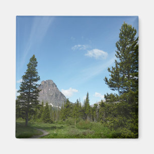 Imã Aster Park Trail no Glacier National Park