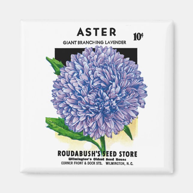 Imã Aster Vintage Seed Packet (Frente)