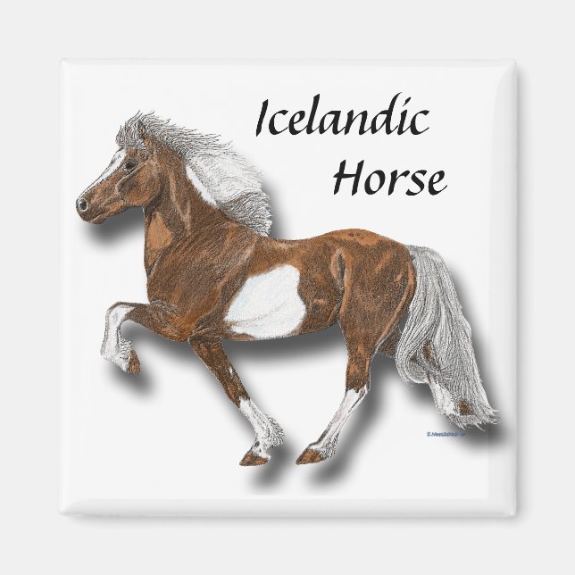 Imã Astrid (Frente)