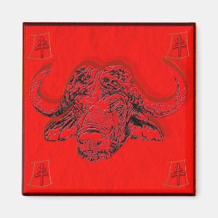 Imã astrologia chinesa