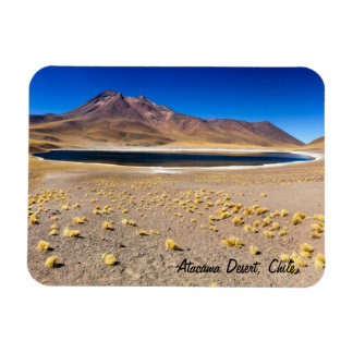 Ímã Atacama Desert