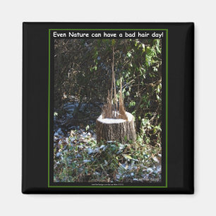 Imã Até A Natureza Pode Ter Um Dia De Cabelo Mau! Roup