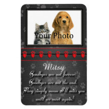 Até nos encontrarmos novamente Memorial para Gato 