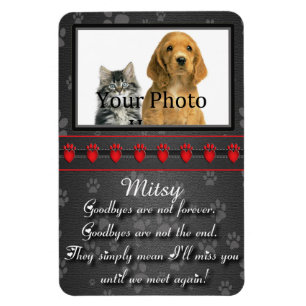 Ímã Até nos encontrarmos novamente Memorial para Gato