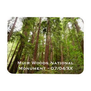 Ímã Até Redwoods I no Monumento Nacional Muir Woods
