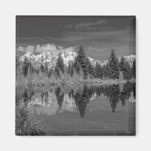Imã Aterragem de Schwabacher