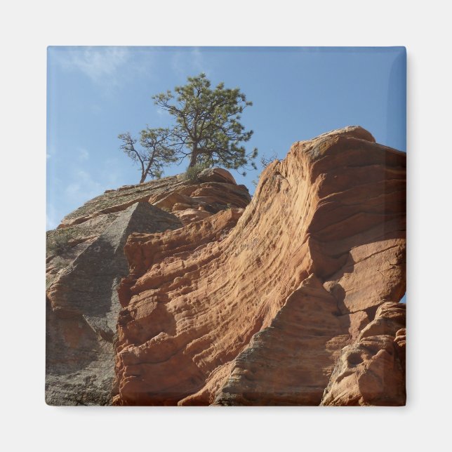Imã Aterrissagem em Anjos no Parque Nacional de Zion (Frente)
