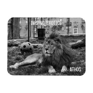Ímã Athos -