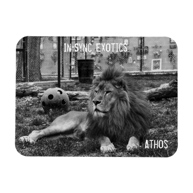 Ímã Athos - (Horizontal)