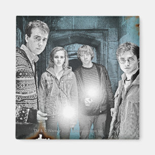 Imã Atirada de Grupo 1