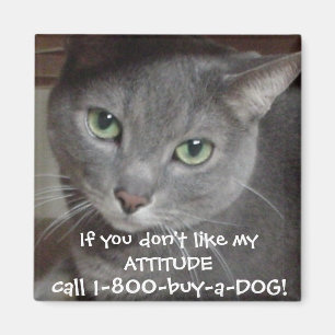 Imã Atitude Humor Gato Cinza Azul Russo