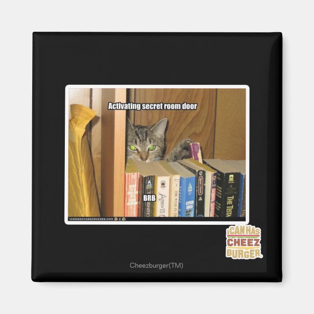 Imã Ativando Porta da Sala Secreta (Frente)