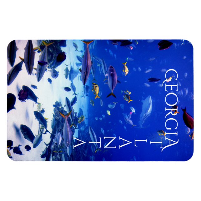 Ímã Atlanta Georgia (Horizontal)