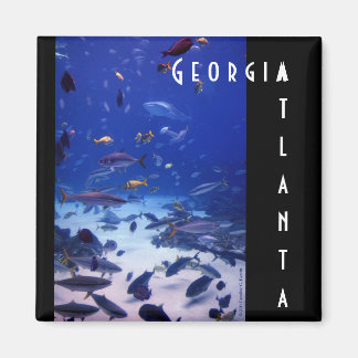 Imã Atlanta Georgia