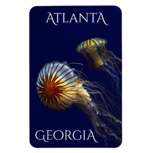 Ímã Atlanta Georgia Curiosa medusa