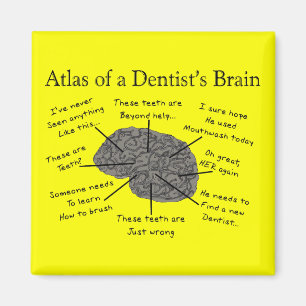 Imã Atlas do cérebro de um dentista