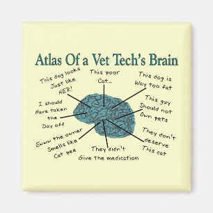 Imã Atlas do cérebro de uma tecnologia do veterinári