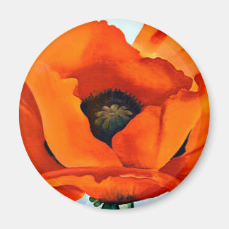 Imã Atordoamento da Geórgia O'Keeffe Red Poppy