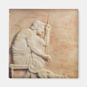 Imã Atracção animal