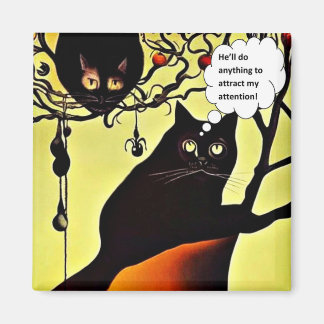 Imã Atraindo minha atenção