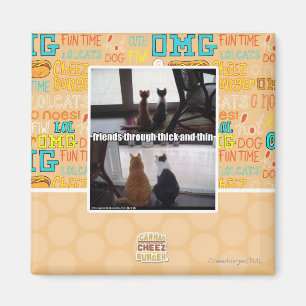 Imã Através de espesso e fino