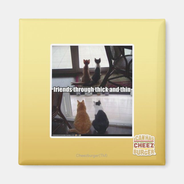 Imã Através de espesso e fino (Frente)