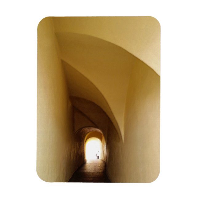 Ímã através do túnel (Vertical)