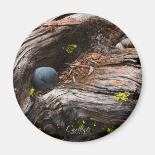 Imã Atualizações do ímã