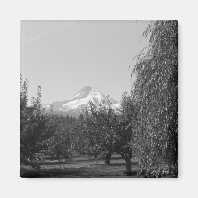 Imã August Mt Hood Magnet (Frente)