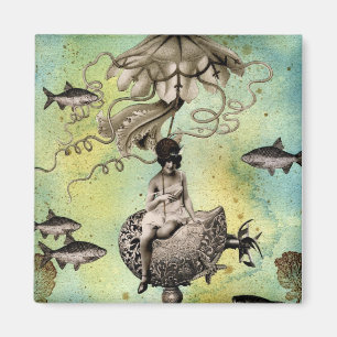 Imã Aurelia e sua Jelly Cruiser