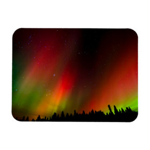 Ímã Aurora Boreal e árvores