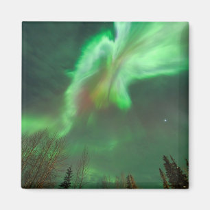 Imã Aurora Boreal Luzes do Norte Fairbanks