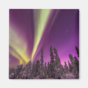 Imã Aurora Boreal Luzes do Norte Fairbanks Alasca