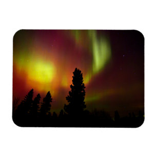 Ímã Aurora Borealis e Árvores