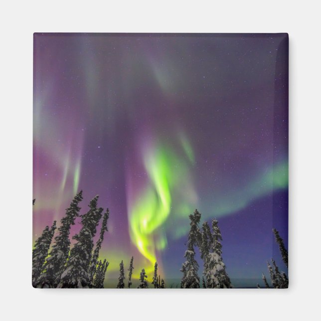 Imã Aurora Borealis | Fairbanks, Alaska (Frente)