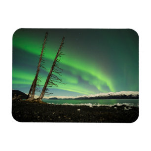 Ímã Aurora de árvore inclinada