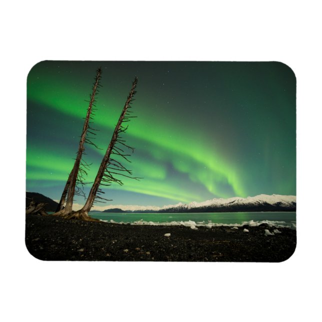 Ímã Aurora de árvore inclinada (Horizontal)