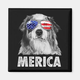 Imã Aussie australian shepherd 4 de julho merica
