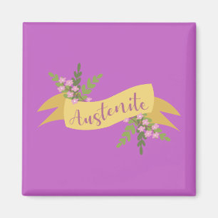 Imã Austenite I
