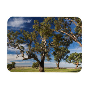 Ímã Austrália, Barossa Valley, Mount Pleasant