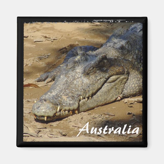 Imã Austrália, Crocodilo, Bush (Magnet) (Frente)