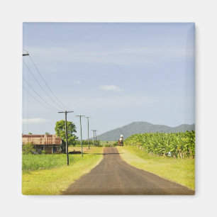 Imã Austrália, Queensland, Costa Norte, Babinda.