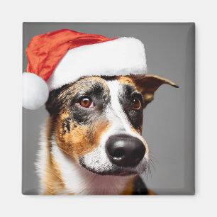 Imã Australian Cattle Dog Christmas