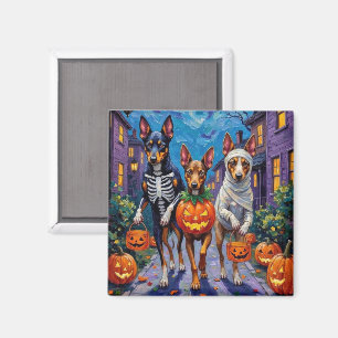 Imã Australian Kelpie Fazendo Doces ou Travessuras no