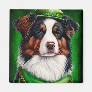 Imã Australian Shepherd dog in St. Patrick's Day Dress