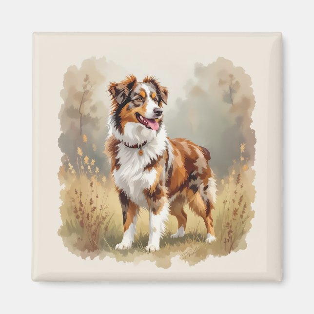 Imã Australian Shepherd Dog Red Merle Aussie (Frente)