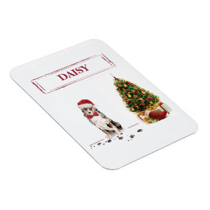 Ímã Australian Shepherd engraçado de Natal com árvore