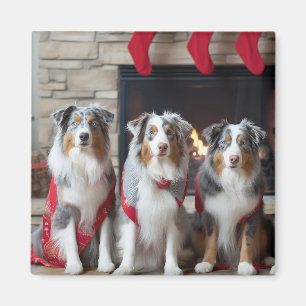 Imã Australian Shepherd Perto da Lareira Natal